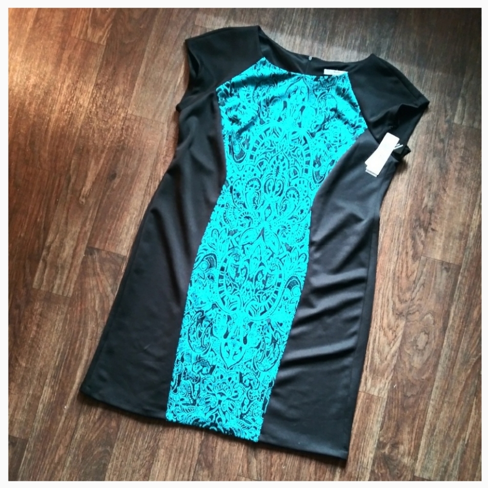 NWT: Color Block Dress